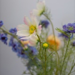 Arbeitsrechtsberatung Rechtsanwalt Beratung Rechtsanwalt Arbeitsrecht